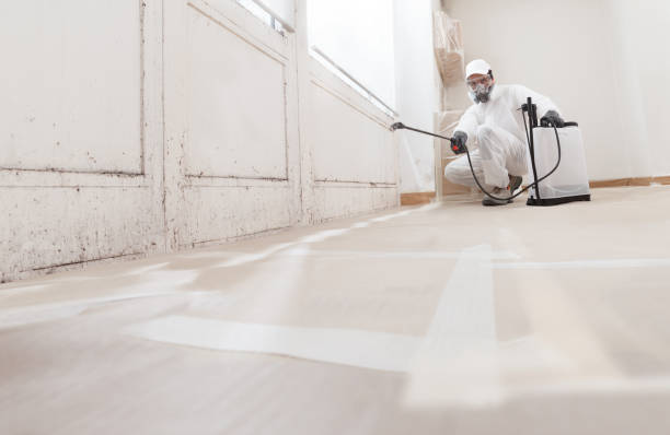 24/7 Emergency Crawl Space Mold Removal experts in Decatur, TN
