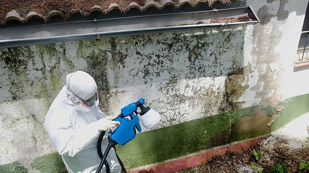 Trusted Attic Mold Removal service in Decatur, TN - Cheap Mold Removal